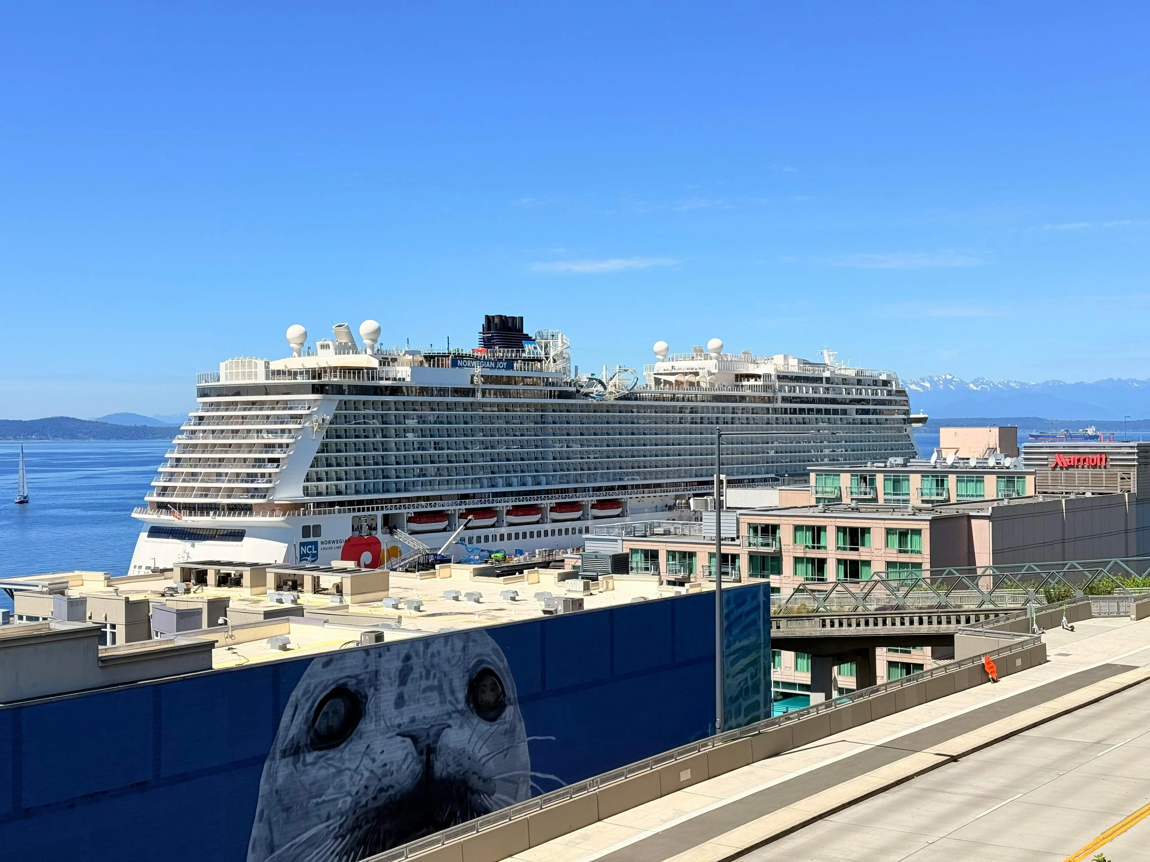 Cruise ship docked at Seattle Pier 91 with luxury black SUV in the foreground